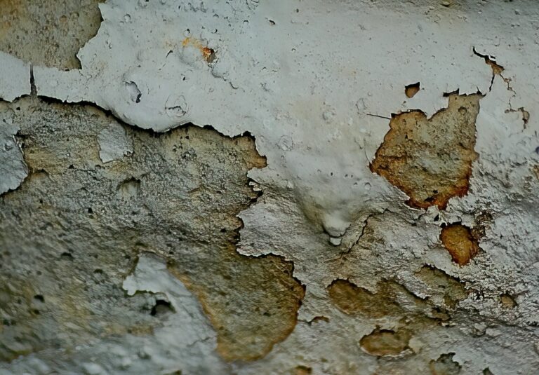 Jak skutecznie zwalczyć pleśń na ścianie - odnowa wnętrz z elegancją i stylem