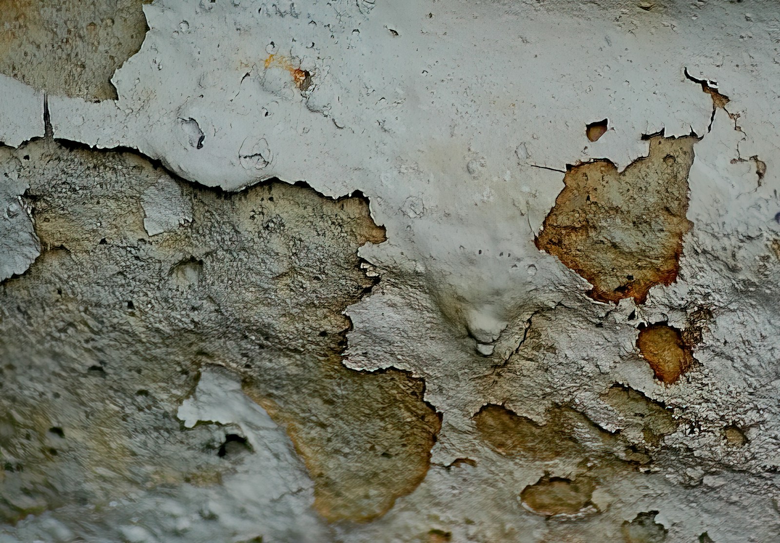 Jak skutecznie zwalczyć pleśń na ścianie - odnowa wnętrz z elegancją i stylem