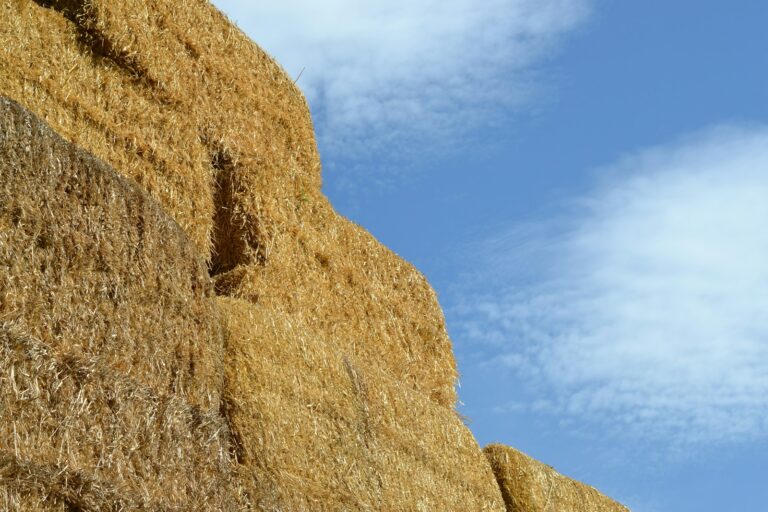 Kostka słomy wymiary - jakie powinny być idealne proporcje dla maksymalnej wydajności?