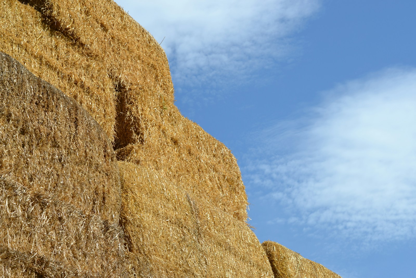 Kostka słomy wymiary - jakie powinny być idealne proporcje dla maksymalnej wydajności?